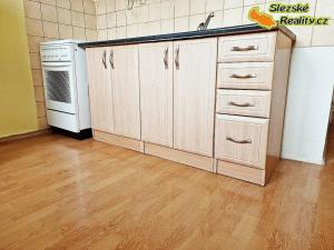 Pronájem bytu 1+1, Ostrava, Korunní, 40 m2