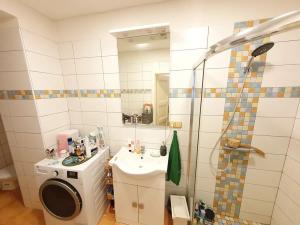 Pronájem bytu 1+1, Praha - Malá Strana, Vítězná, 55 m2