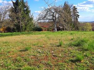 Pronájem zahrady, Střelice, 2391 m2
