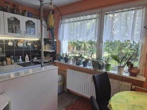 Prodej bytu 3+1, Česká Lípa, Újezd, 77 m2