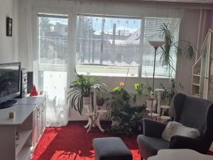 Prodej bytu 3+1, Česká Lípa, Újezd, 77 m2