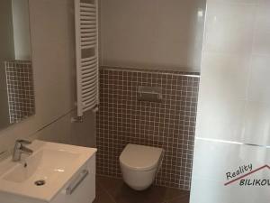 Pronájem bytu 1+kk, Praha - Žižkov, Olšanská, 34 m2