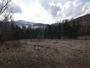 Prodej lesa, Lipová-lázně, 12392 m2