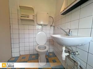 Pronájem chaty, Dolní Domaslavice, 75 m2