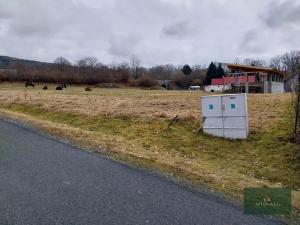Prodej pozemku pro bydlení, Pocinovice, 1000 m2