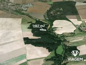 Prodej lesa, Břežany, 1467 m2