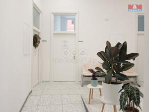 Pronájem obchodního prostoru, Opava - Město, Masarykova třída, 160 m2