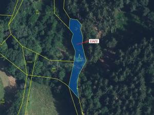 Dražba lesa, Kyje, 580 m2