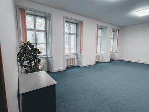 Pronájem kanceláře, Praha - Nové Město, Hybernská, 568 m2