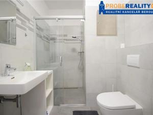 Pronájem bytu 1+kk, Beroun, Na Veselou, 42 m2