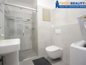 Pronájem bytu 1+kk, Beroun, Na Veselou, 42 m2