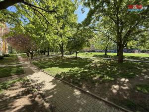 Prodej bytu 2+kk, Most, F. L. Čelakovského, 40 m2