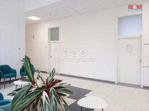 Prodej obchodního prostoru, Opava - Město, Masarykova třída, 50 m2