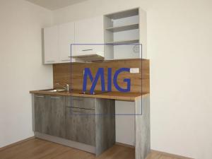 Pronájem bytu 1+kk, Syrovice, 32 m2