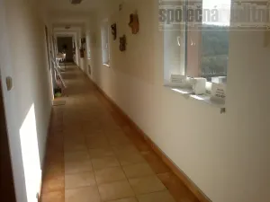 Pronájem bytu 1+kk, Čisovice, 20 m2