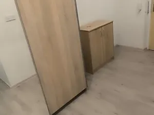 Prodej bytu 1+1, Ostrava, Závodní, 36 m2