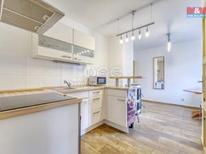 Pronájem bytu 1+kk, Bor - Kosov, 25 m2
