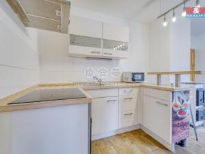 Pronájem bytu 1+kk, Bor - Kosov, 25 m2