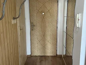 Pronájem bytu 1+1, Jihlava, S. K. Neumanna, 38 m2