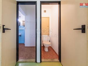 Prodej bytu 1+kk, Příbram - Příbram VIII, Čechovská, 26 m2