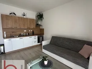 Pronájem bytu 1+kk, České Budějovice, Volejbalistů, 38 m2