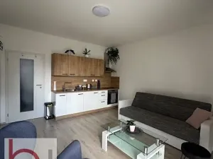 Pronájem bytu 1+kk, České Budějovice, Volejbalistů, 38 m2