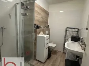 Pronájem bytu 1+kk, České Budějovice, Volejbalistů, 38 m2