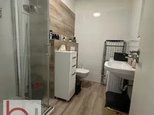 Pronájem bytu 1+kk, České Budějovice, Volejbalistů, 38 m2