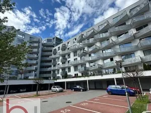 Pronájem bytu 1+kk, České Budějovice, Volejbalistů, 38 m2