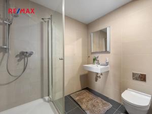 Pronájem bytu 5+kk, Praha - Žižkov, Pitterova, 254 m2
