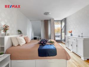 Pronájem bytu 5+kk, Praha - Žižkov, Pitterova, 254 m2