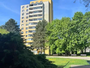 Prodej bytu 1+1, Brno, Voroněžská, 42 m2