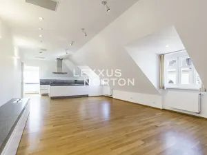 Pronájem bytu 6+kk a větší, Praha - Nové Město, Novomlýnská, 269 m2