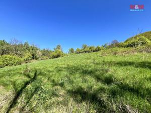 Prodej louky, Malšovice - Hliněná, 21830 m2