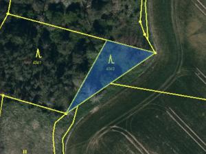 Prodej lesa, Slavičky - Pozďátky, 560 m2
