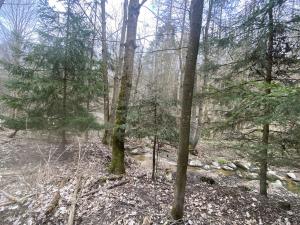 Prodej pozemku, Slavičky - Pozďátky, 580 m2