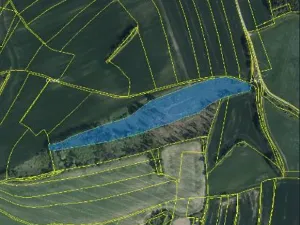 Prodej lesa, Pelhřimov, 24225 m2