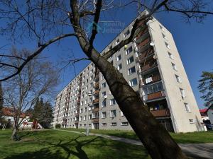 Pronájem bytu 2+kk, Chrudim, Čáslavská, 40 m2
