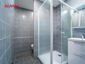 Pronájem bytu 1+1, Kolín, Masarykova, 31 m2