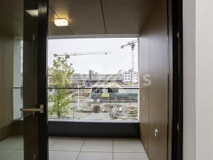 Pronájem bytu 1+kk, Praha - Žižkov, Tetauerova, 30 m2