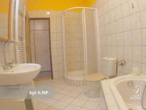 Prodej rodinného domu, České Budějovice, Hradební, 521 m2