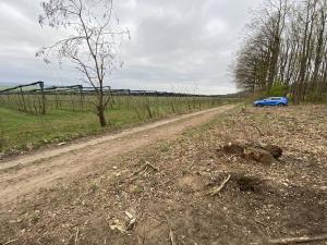 Prodej lesa, Bílé Podolí, 5201 m2