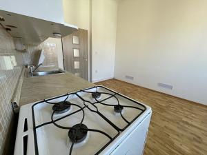 Pronájem bytu 2+1, Praha - Žižkov, Bořivojova, 75 m2