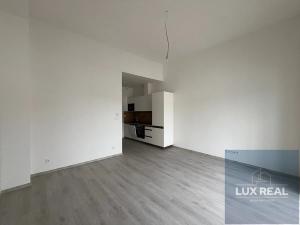 Prodej bytu 1+kk, Lomnice, Dlouhá, 30 m2