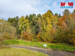 Prodej pozemku pro bydlení, Stříbrná Skalice, 1955 m2
