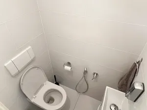 Pronájem vícegeneračního domu, Brno, Březinova, 362 m2