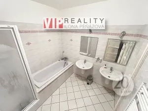 Pronájem vícegeneračního domu, Brno, Březinova, 362 m2