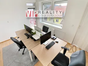Pronájem vícegeneračního domu, Brno, Březinova, 362 m2