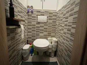 Pronájem bytu 2+1, Ostrava, Vítězná, 52 m2