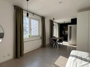 Pronájem bytu 1+kk, Brno, Reissigova, 42 m2